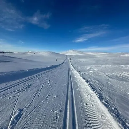 Orrelie By Norgesbooking - With A Lovely View