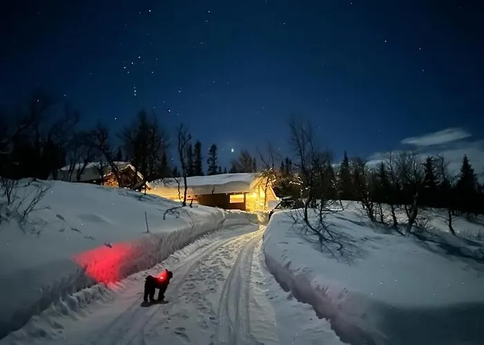 Orrelie By Norgesbooking - With A Lovely View Tatil Evi Ål