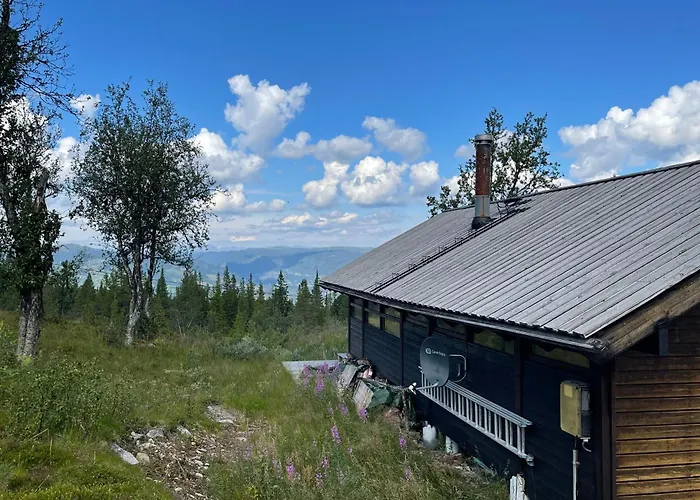 Orrelie By Norgesbooking - With A Lovely View Tatil Evi Ål