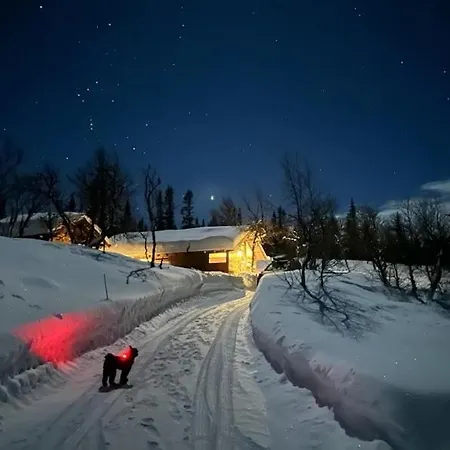 Orrelie By Norgesbooking - With A Lovely View Feriehus Ål